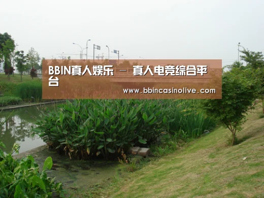 案例展示四(图1)