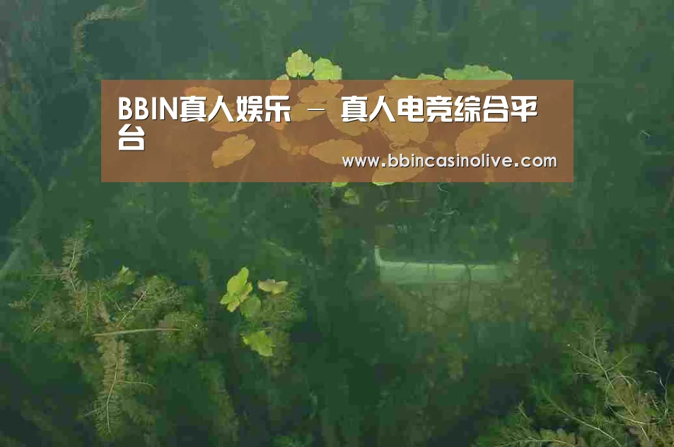 案例展示三(图1)