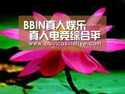 产品名称五
