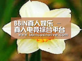产品名称四
