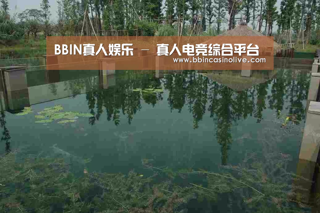 案例展示二