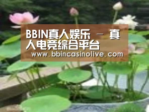 产品名称一