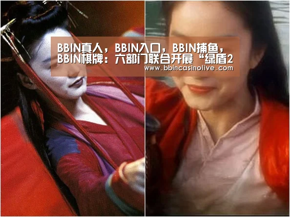 BBIN真人，BBIN入口，BBIN捕鱼，BBIN棋牌