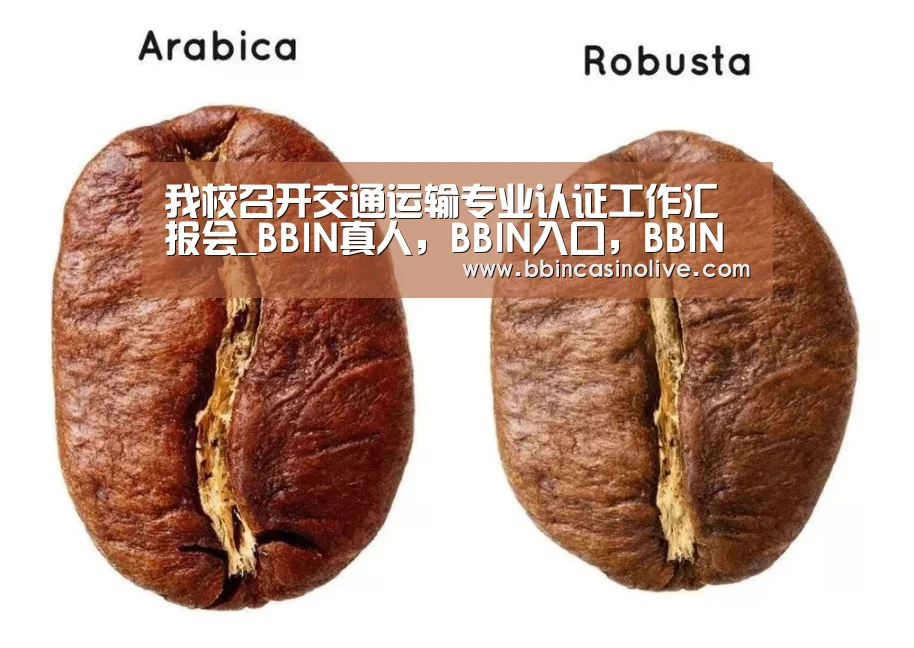 我校召开交通运输专业认证工作汇报会_BBIN真人,BBIN入口,BBIN捕鱼,BBIN棋牌(图4) BBIN真人,BBIN入口,BBIN捕鱼,BBIN棋牌