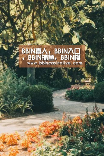 BBIN真人，BBIN入口，BBIN捕鱼，BBIN棋牌