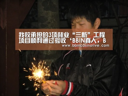 BBIN真人，BBIN入口，BBIN捕鱼，BBIN棋牌