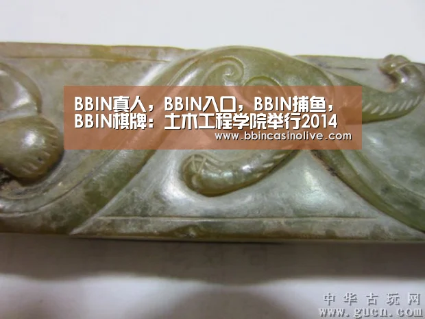 BBIN真人，BBIN入口，BBIN捕鱼，BBIN棋牌