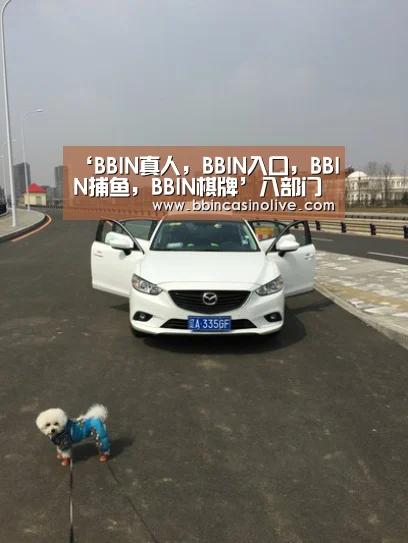 ‘BBIN真人,BBIN入口,BBIN捕鱼,BBIN棋牌’八部门发通知吸烟镜头过多影视剧不评优 《药神》《邪不压正》曾得“脏烟灰缸奖”(图3) BBIN真人,BBIN入口,BBIN捕鱼,BBIN棋牌
