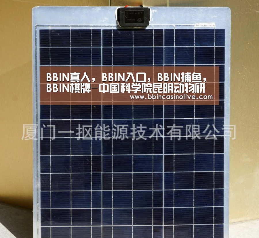 BBIN真人,BBIN入口,BBIN捕鱼,BBIN棋牌-中国科学院昆明动物研究所2019年招聘通告(图3) BBIN真人,BBIN入口,BBIN捕鱼,BBIN棋牌