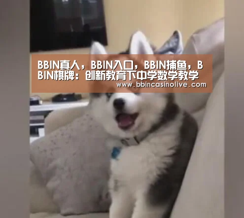 BBIN真人，BBIN入口，BBIN捕鱼，BBIN棋牌