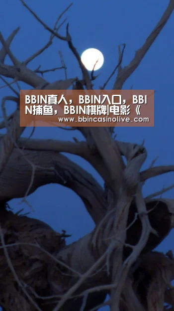 BBIN真人,BBIN入口,BBIN捕鱼,BBIN棋牌|电影《极速弯道》开机 欲