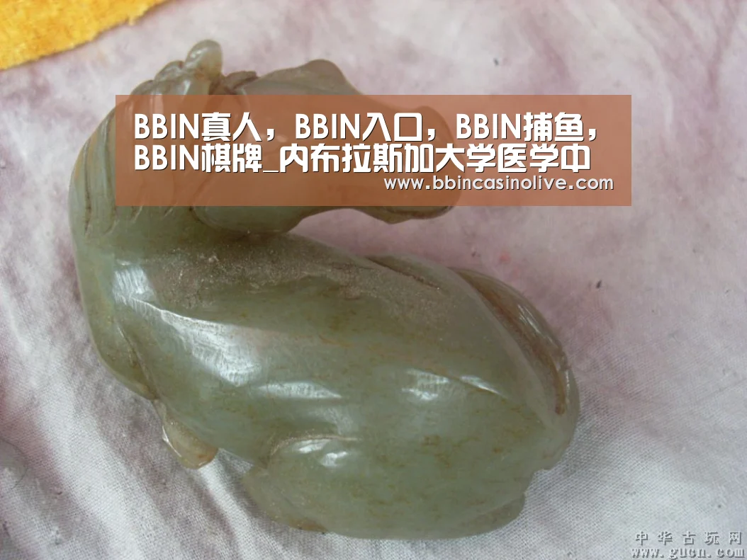 BBIN真人,BBIN入口,BBIN捕鱼,BBIN棋牌_内布拉斯加大学医学中心副校长来校访问(图2) BBIN真人,BBIN入口,BBIN捕鱼,BBIN棋牌