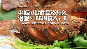 BBIN真人，BBIN入口，BBIN捕鱼，BBIN棋牌