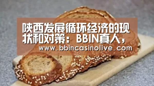 陕西发展循环经济的现状和对策:BBIN真人,BBIN入口,BBIN捕鱼,BBIN棋牌(图2) BBIN真人,BBIN入口,BBIN捕鱼,BBIN棋牌