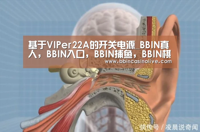 BBIN真人，BBIN入口，BBIN捕鱼，BBIN棋牌