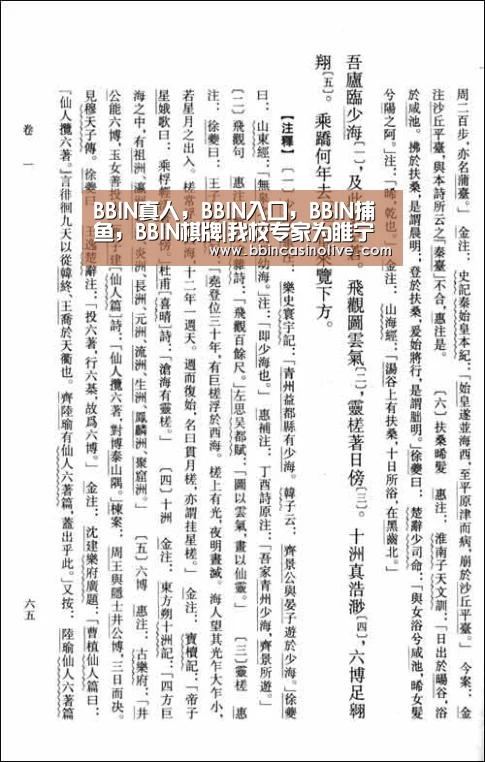 BBIN真人，BBIN入口，BBIN捕鱼，BBIN棋牌