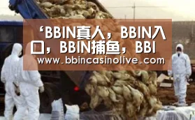 BBIN真人，BBIN入口，BBIN捕鱼，BBIN棋牌