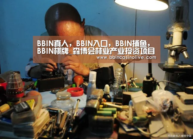 BBIN真人，BBIN入口，BBIN捕鱼，BBIN棋牌