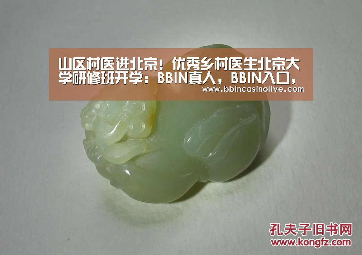 山区村医进北京!优秀乡村医生北京大学研修班开学:BBIN真人,BBIN入口,BBIN捕鱼,BBIN棋牌(图4) BBIN真人,BBIN入口,BBIN捕鱼,BBIN棋牌