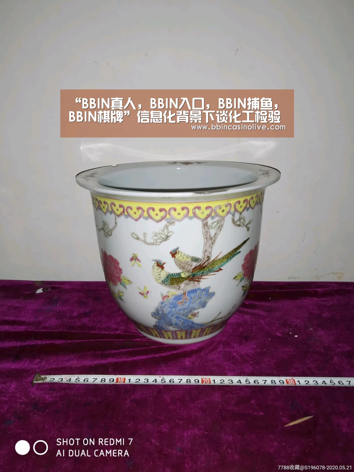 BBIN真人，BBIN入口，BBIN捕鱼，BBIN棋牌