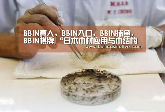 BBIN真人,BBIN入口,BBIN捕鱼,BBIN棋牌|“日本木材应用与木结构技术培训中心(南京)”在我校挂牌(图2) BBIN真人,BBIN入口,BBIN捕鱼,BBIN棋牌