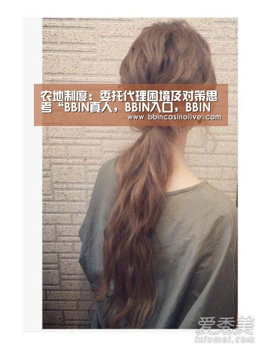 农地制度:委托代理困境及对策思考“BBIN真人,BBIN入口,BBIN捕鱼,BBIN棋牌”(图2) BBIN真人,BBIN入口,BBIN捕鱼,BBIN棋牌