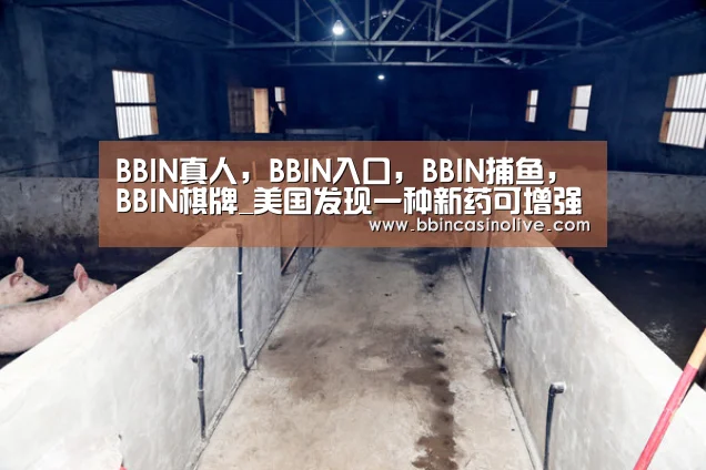 BBIN真人，BBIN入口，BBIN捕鱼，BBIN棋牌