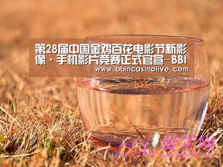 BBIN真人，BBIN入口，BBIN捕鱼，BBIN棋牌