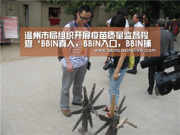 BBIN真人，BBIN入口，BBIN捕鱼，BBIN棋牌