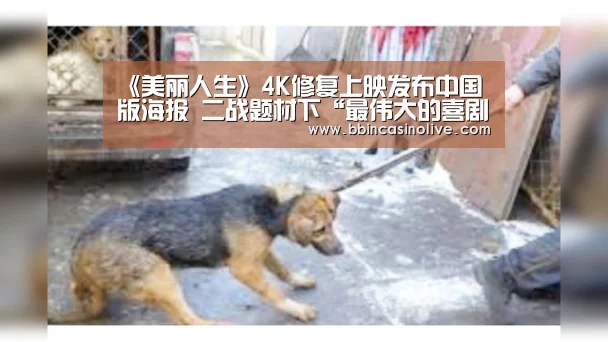 《美丽人生》4K修复上映发布中国版海报 二战题材下“最伟大的喜剧”【BBIN真人,BBIN入口,BBIN捕鱼,BBIN棋牌】(图3) BBIN真人,BBIN入口,BBIN捕鱼,BBIN棋牌