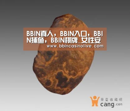 BBIN真人，BBIN入口，BBIN捕鱼，BBIN棋牌