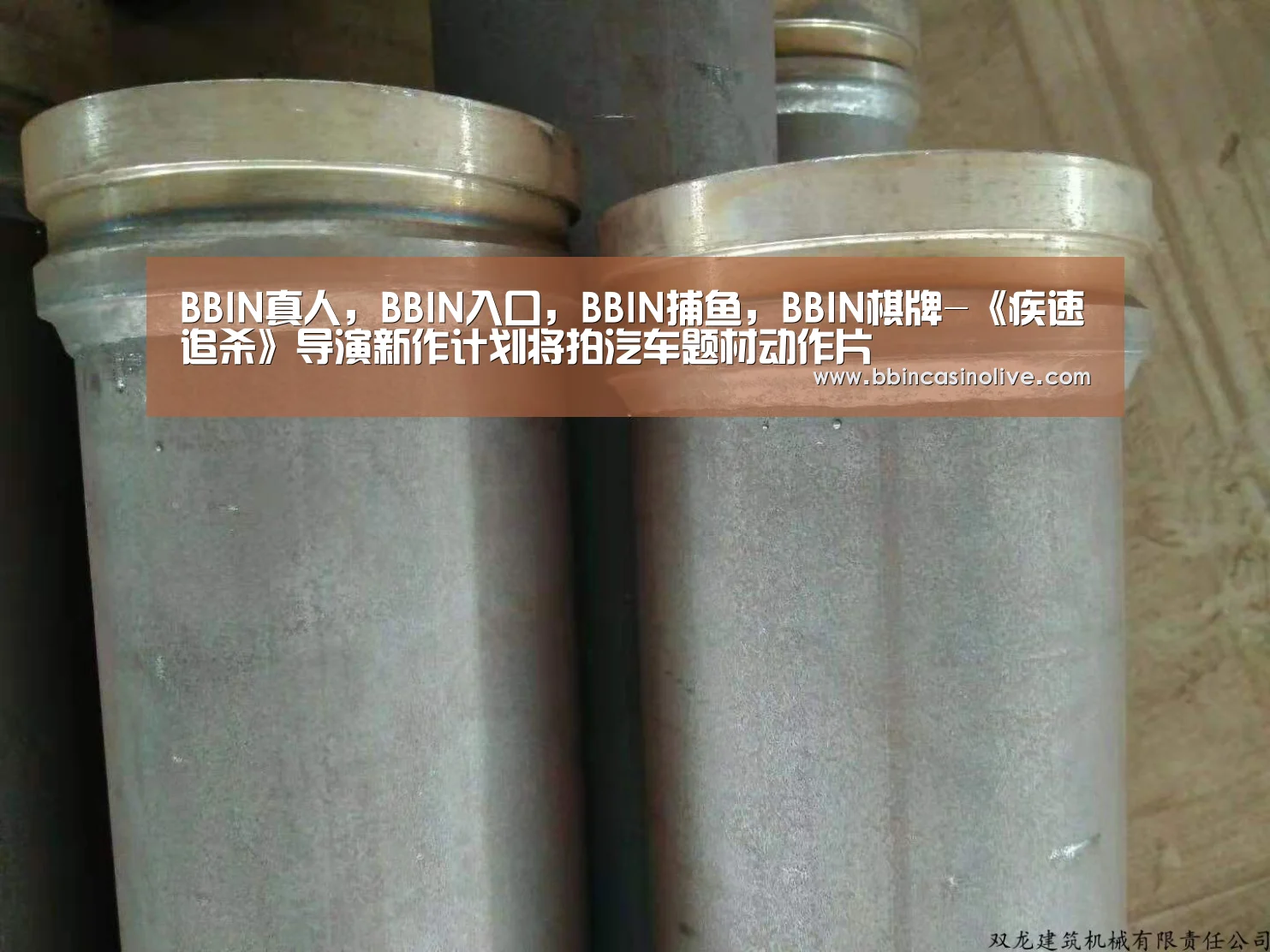 BBIN真人，BBIN入口，BBIN捕鱼，BBIN棋牌